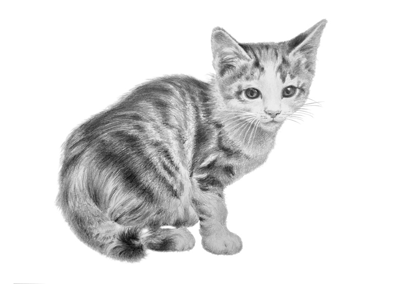 鉛筆1本で何でも描ける 鉛筆デッサン｜津田沼カルチャーセンター