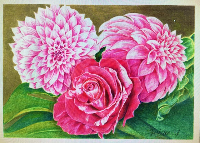 やさしい 色鉛筆画｜バーズカルチャーセンター｜港南台バーズ、横浜市