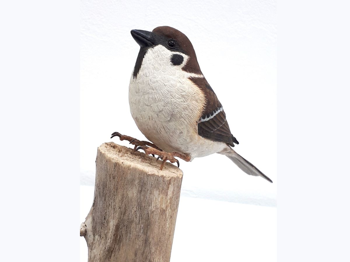 鳥の彫刻 バードカービング｜大阪産経学園｜阪急ターミナルビル、阪急