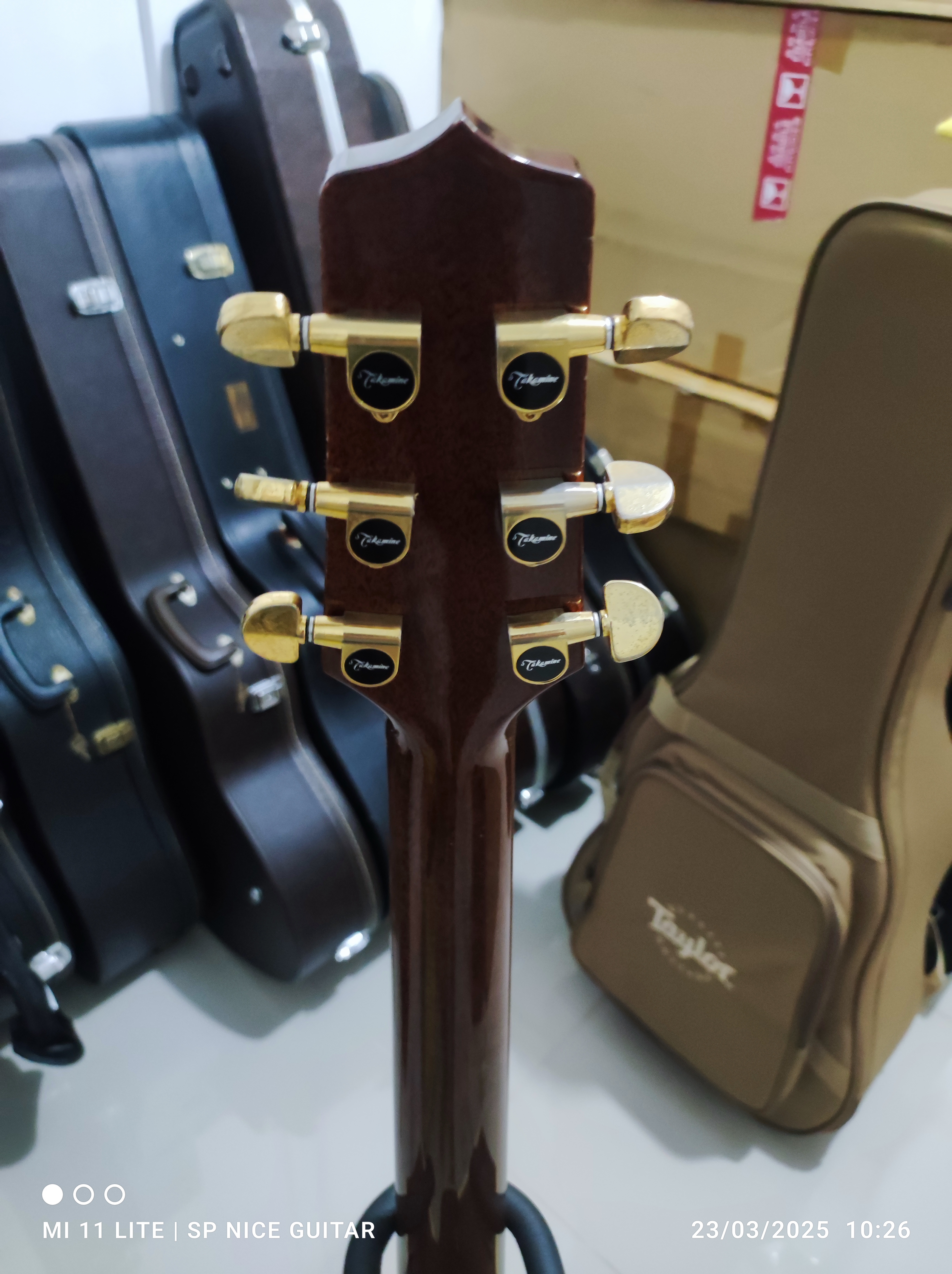 Takamine DSP015-TBS - SP Nice Guitar : Inspired by LnwShop.com (v2)