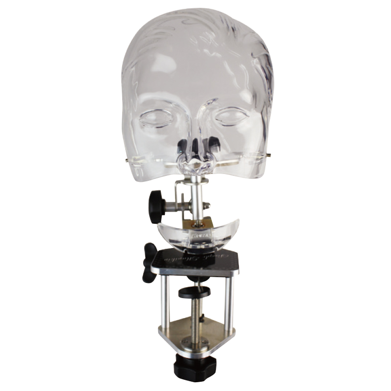 シンプルマネキンIII [ニッシン]の通販 | Ciモール | Ciモール