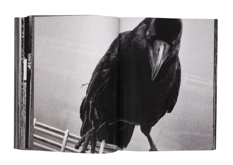 Record 2 - 森山大道 | shashasha 写々者 - 写真集とアートブック