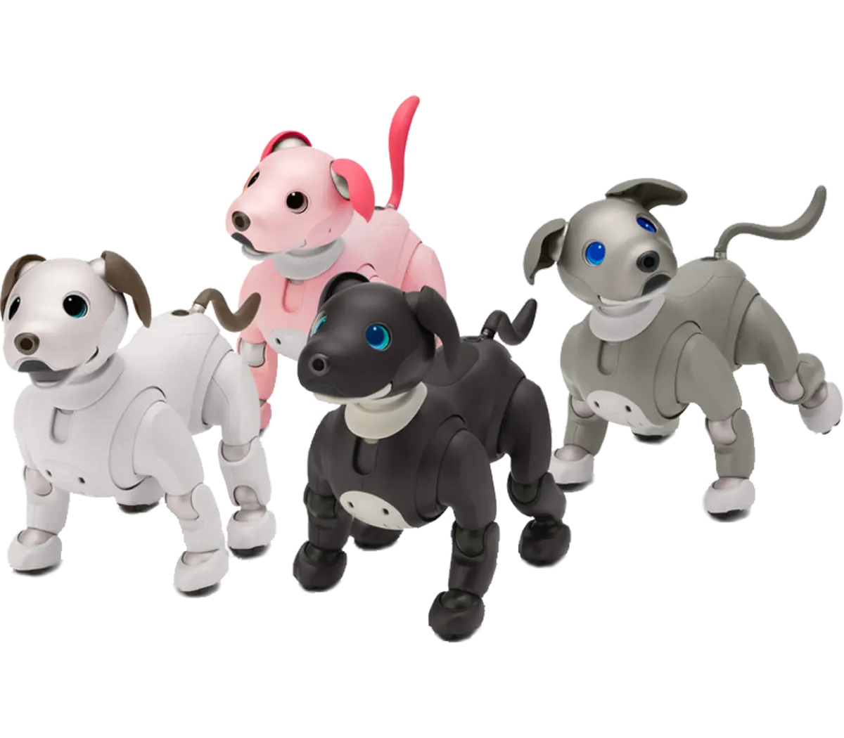 Sony aibo Espresso Edition | ERS1000B