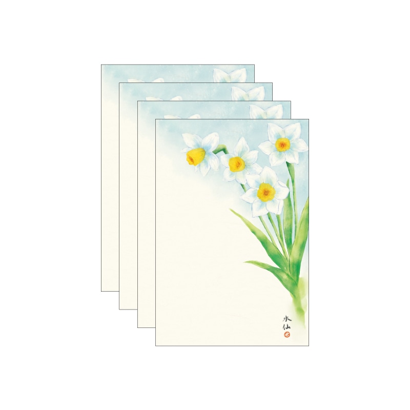 絵入りはがき 2025冬柄 水仙 4枚セット｜郵便局のネットショップ