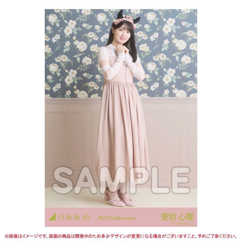 乃木坂46 OFFICIAL WEB SHOP | 乃木坂46 グッズ通販サイト