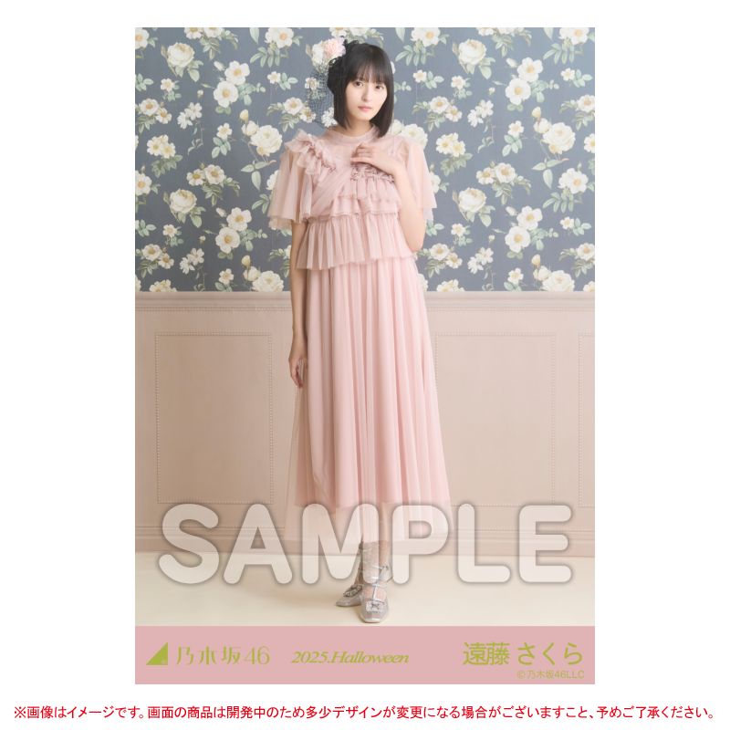 乃木坂46 OFFICIAL WEB SHOP | 乃木坂46 グッズ通販サイト