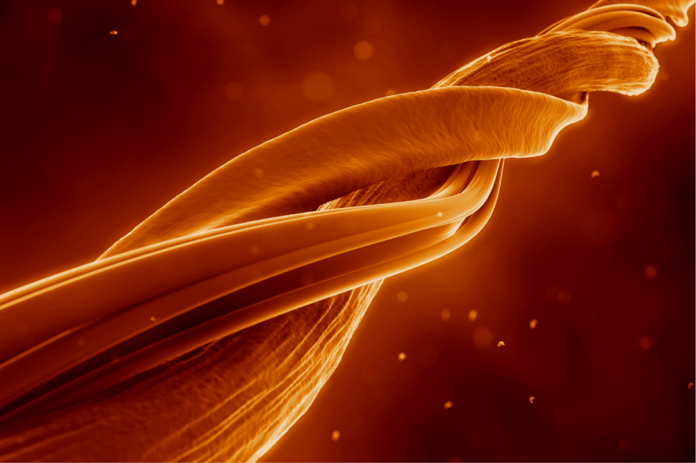 COVEROSS® ONLINE STORE