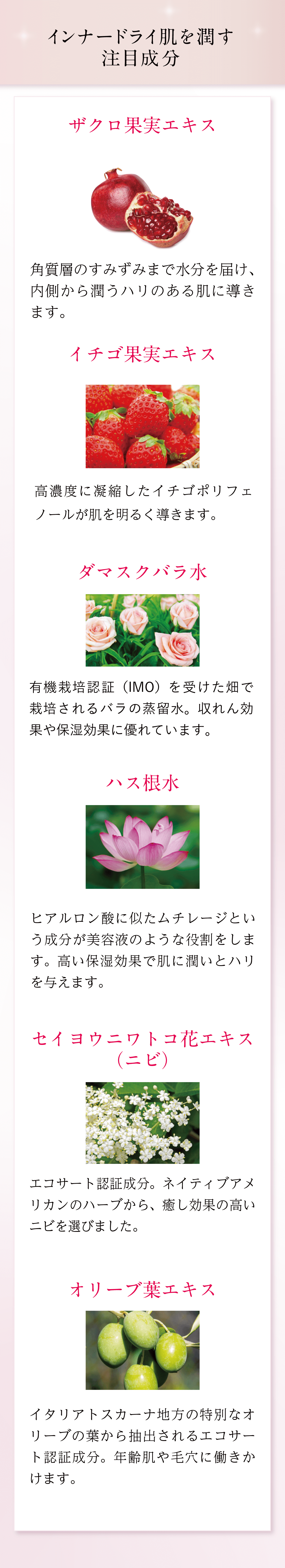 バランシングトナー2本セット【7%オフ】 | フルティア