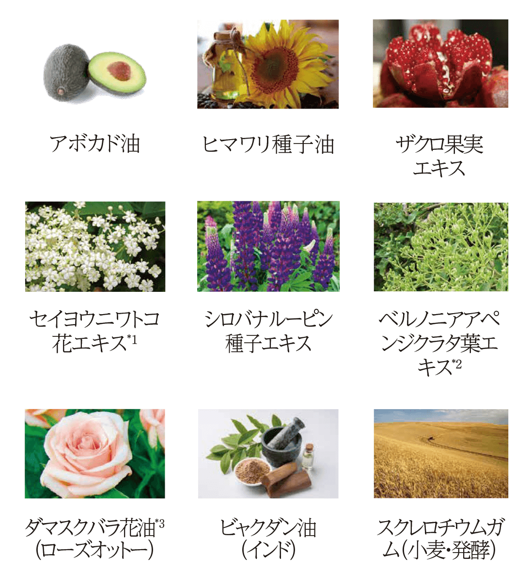 オメガローズクリーム | フルティア