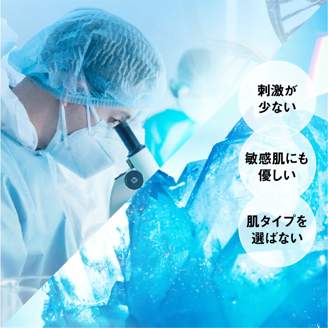 GENiS Professional | 商品詳細