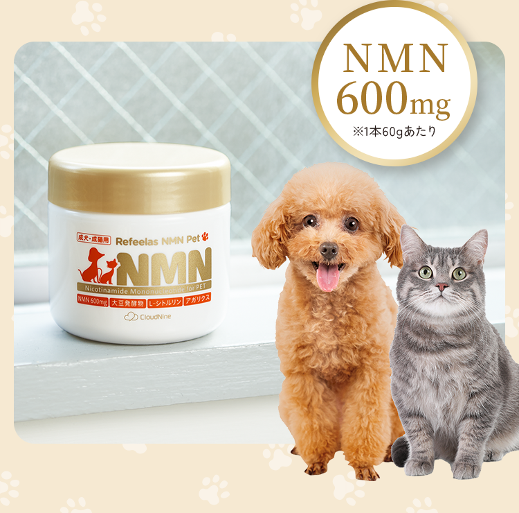 NMNのサプリメント（機能性表示食品）・オールインワンジェル化粧品の