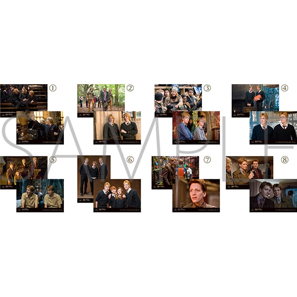 ハリーポッター フレッド&ジョージ・ウィーズリー ブロマイド