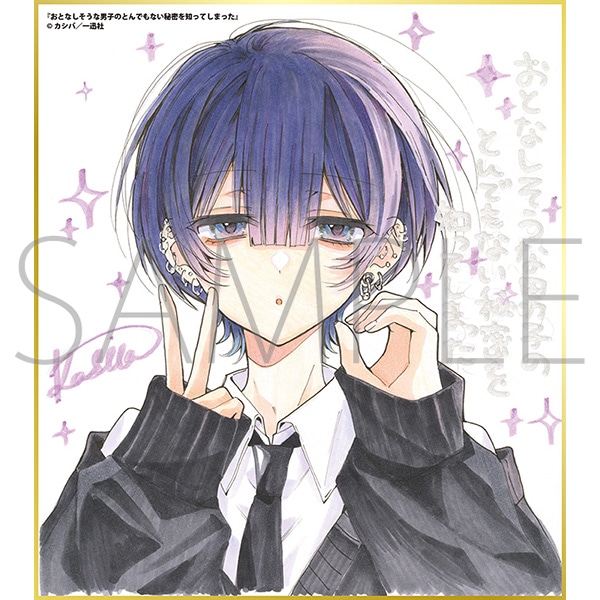 おとなしそうな男子のとんでもない秘密を知ってしまった／一迅社 20