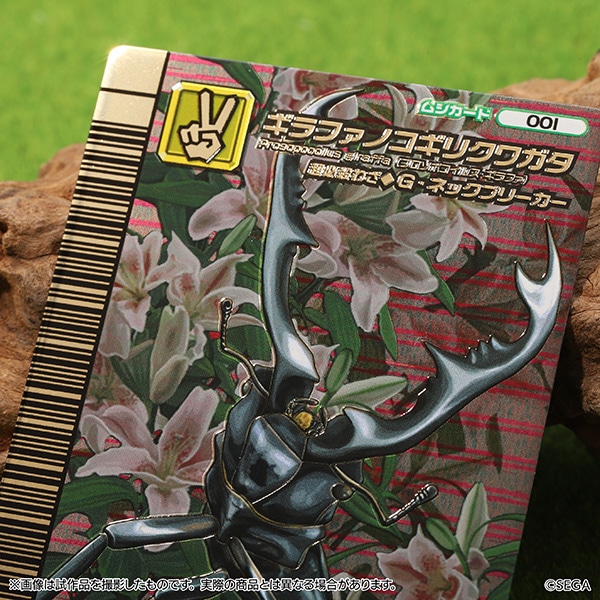 再販】甲虫王者ムシキング メタルカードセット: キャラグッズ