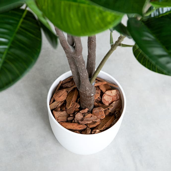 g162004]【高さ125cm】Nature 光触媒人工観葉植物 オリーブ 観葉植物