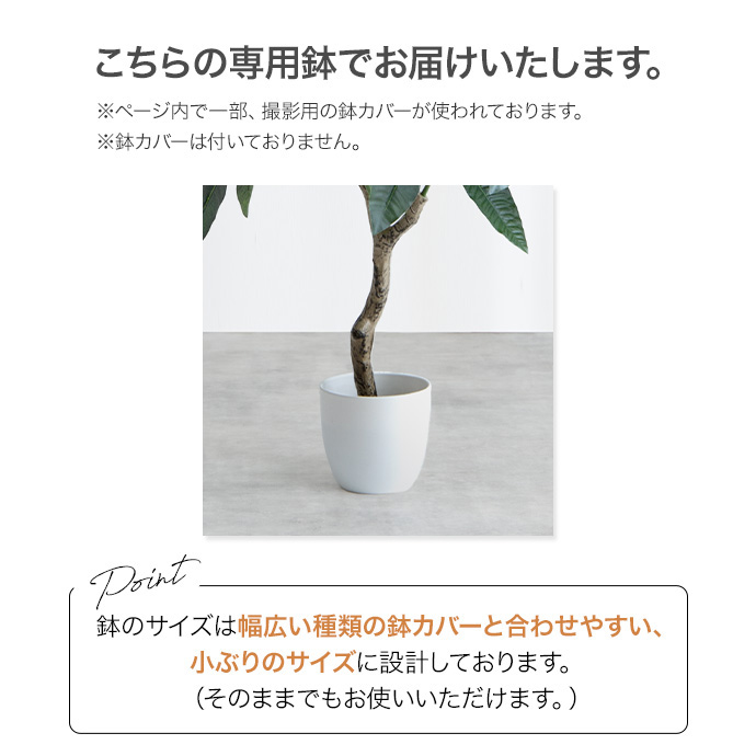 g162007]【高さ120cm】Nature 光触媒人工観葉植物 パキラ 観葉植物