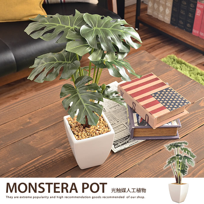 g46021]モンステラポット 観葉植物 | 家具・インテリア通販は家具350