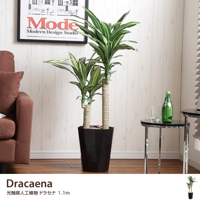g46039]【高さ1.1m】Dracaena 光触媒人工植物 ドラセナ 観葉植物