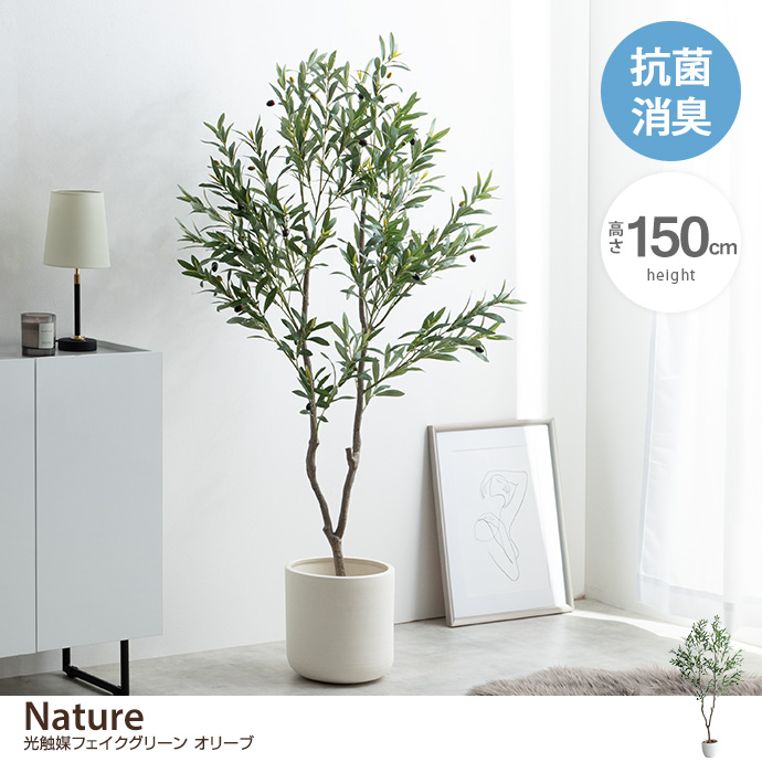 g162014]【高さ150cm】Nature 光触媒人工観葉植物 オリーブ 観葉植物