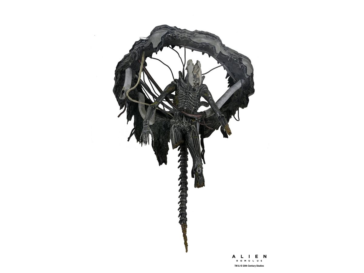 エイリアン:ロムルス/ ゼノモーフxx121 サスペンデッド・ラボ DX 7