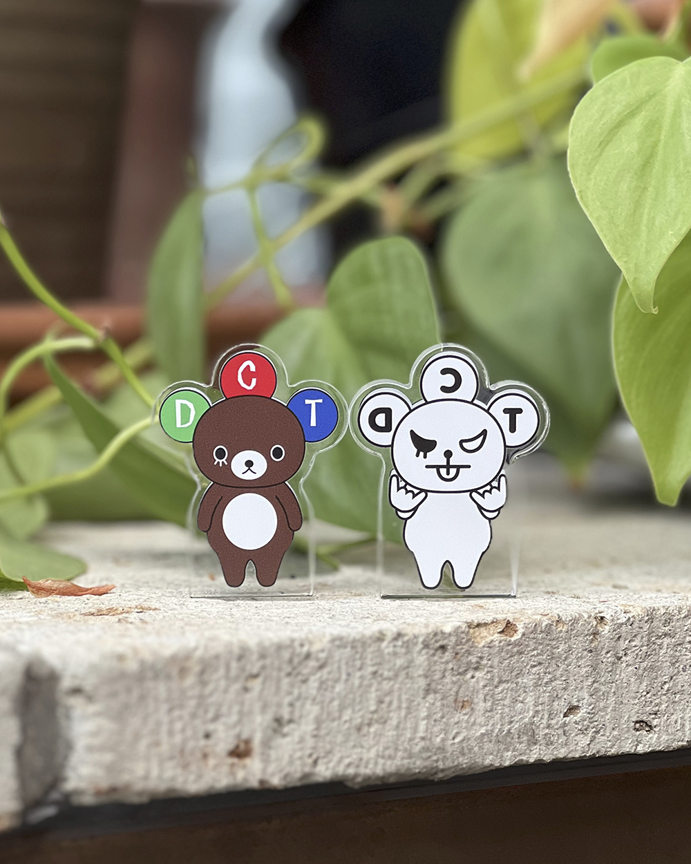 ドリクマ&ワルクマ アクリルミニブロック | ドリクマワルクマSHOP