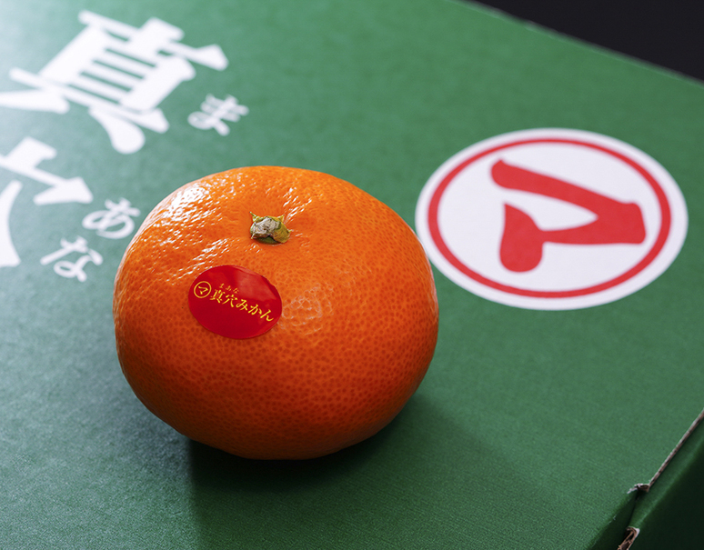 JAにしうわ『真穴みかん』 愛媛県産 S〜Lサイズ 約5kg 産地箱 風袋込