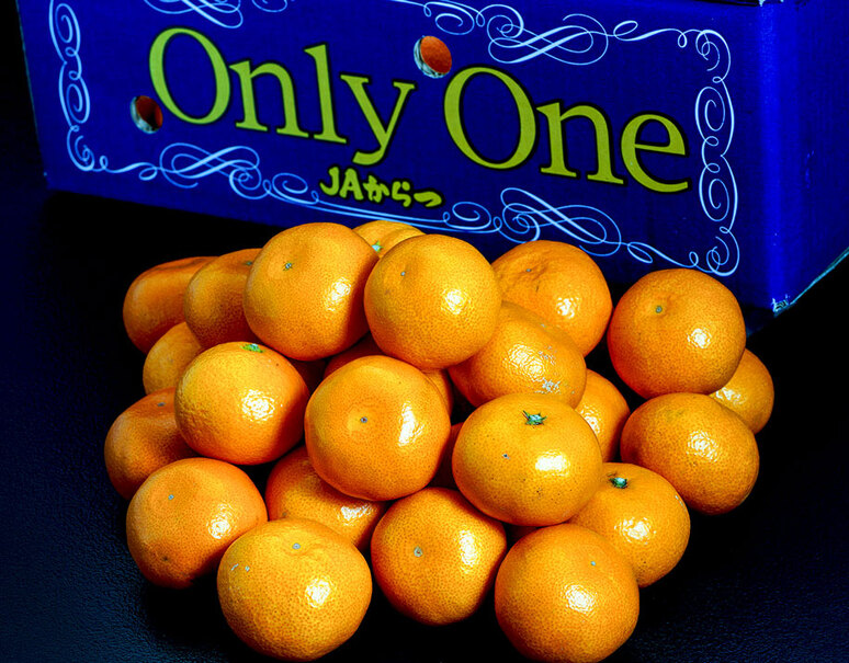 糖度12度以上選別「Only One」佐賀県産 JAからつ みかん 特秀品 約5kg