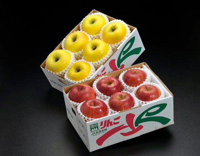 りんごのお取り寄せ 通販ギフト｜dancyu.com（ダンチュウドットコム）