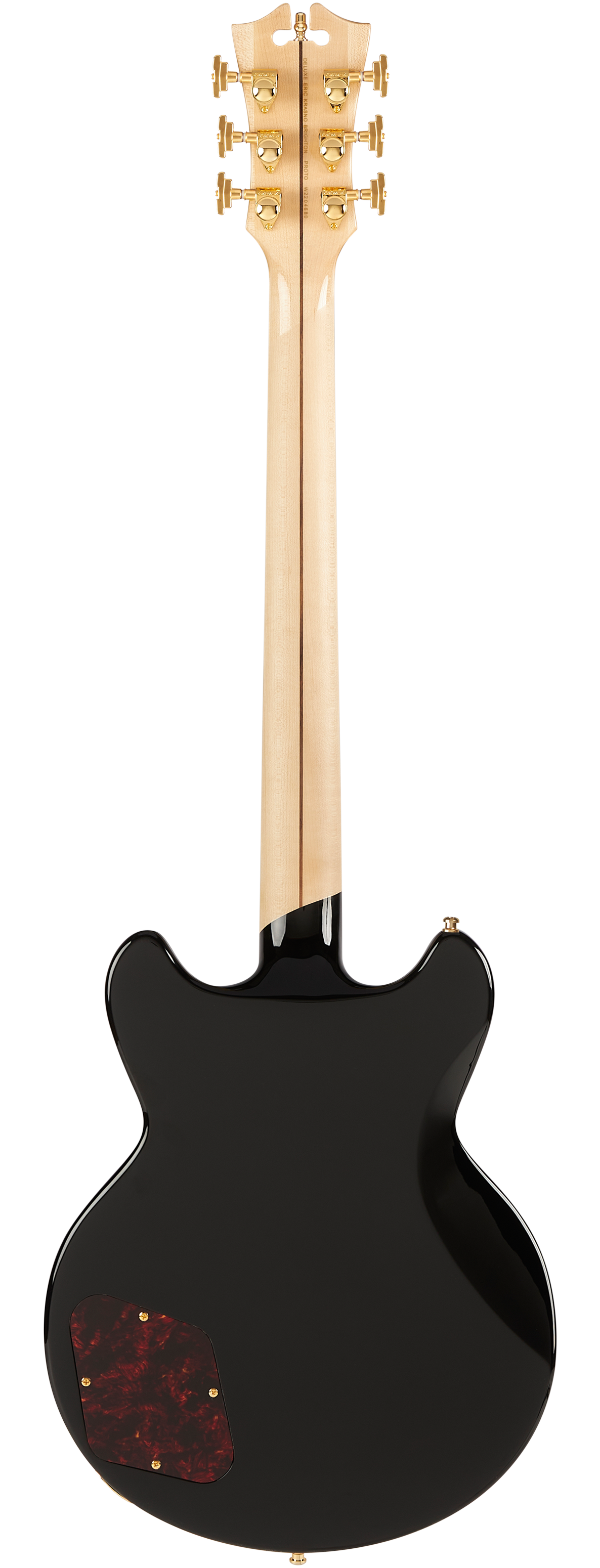 Deluxe Eric Krasno Brighton - D'Angelico Guitars