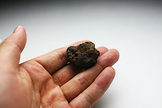 小学3年生が拾ったのは隕石だったのか（デジタルリマスター