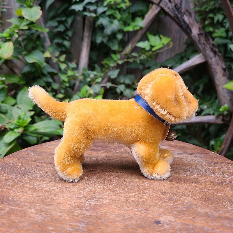 シュタイフ 子犬ぬいぐるみ Bazi バツィー Steiff ダックスフント