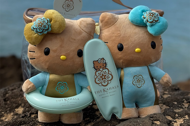 2025年最新】ハワイ限定のキャラクター商品まとめ | アロハストリート