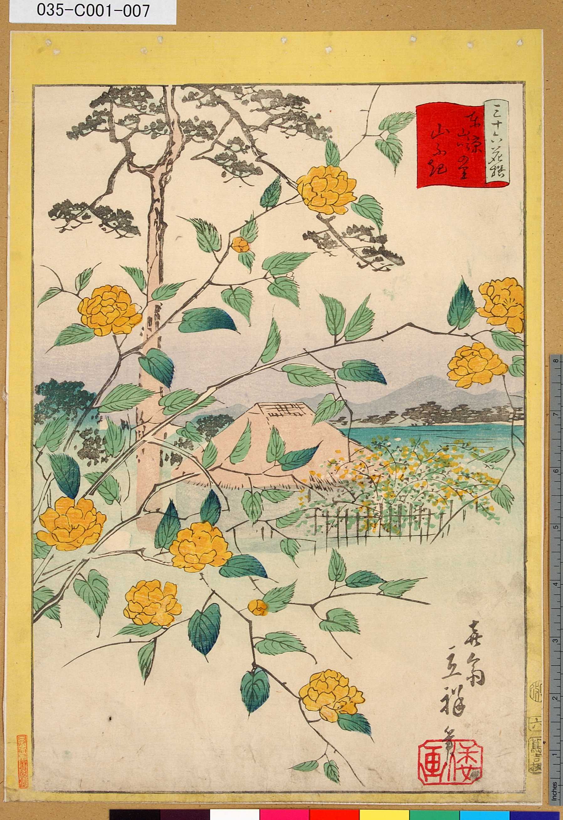 二歌川広重による浮世絵「「三十六花撰」「東京山吹の里山ふき」 「六」」