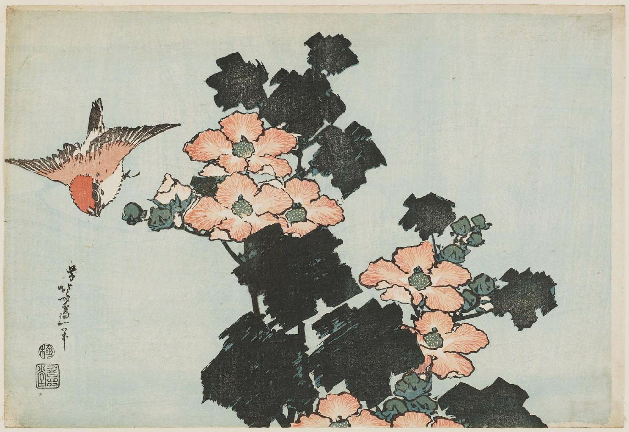葛飾北斎による浮世絵「Hibiscus and Sparrow, from an untitled