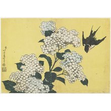 葛飾北斎による浮世絵「（紫陽花）」