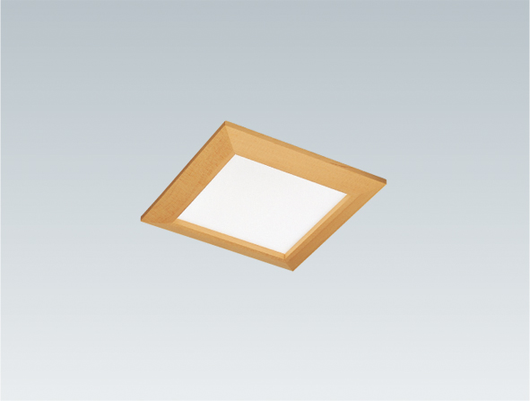 遠藤照明 品番詳細