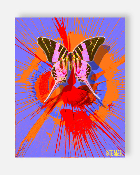 DSAH-ST-CB-PURPLE-PRINTS-