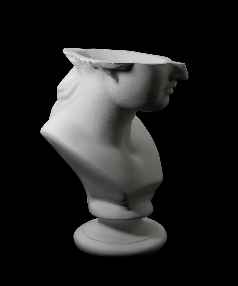 emeth-venus-sekko-8074337.jpg?