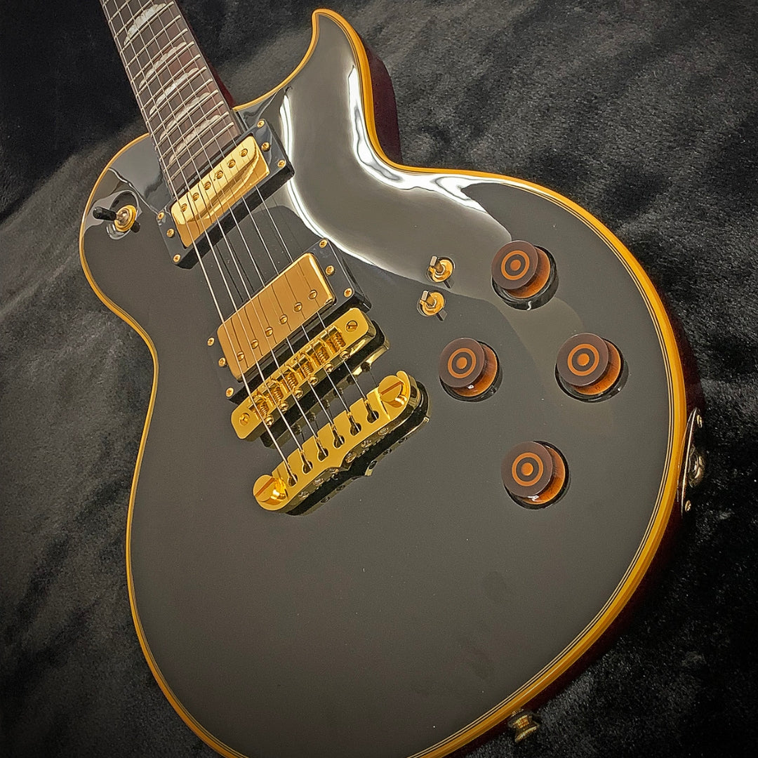 Aria Pro II PE-F80 Electric Guitar – DeathCloud