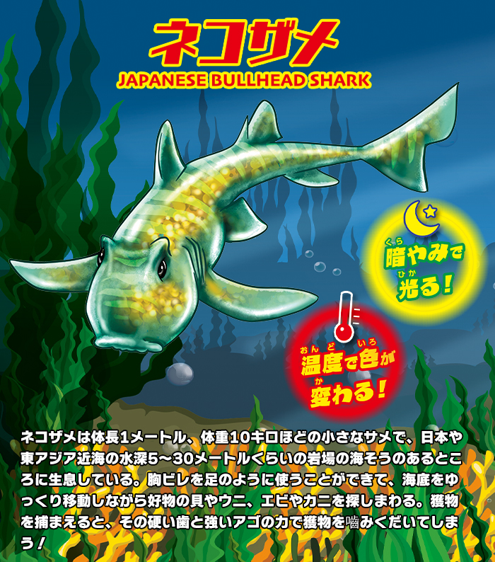 シャークアタック＆Co.（アンドコ） | デアゴスティーニ・ジャパン