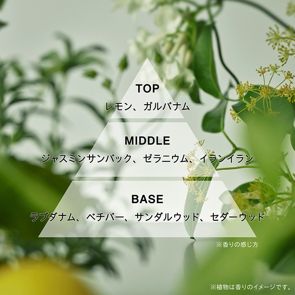 オードパルファン UNTIL THE CLOUDS CLEAR:アスレティア(athletia)の