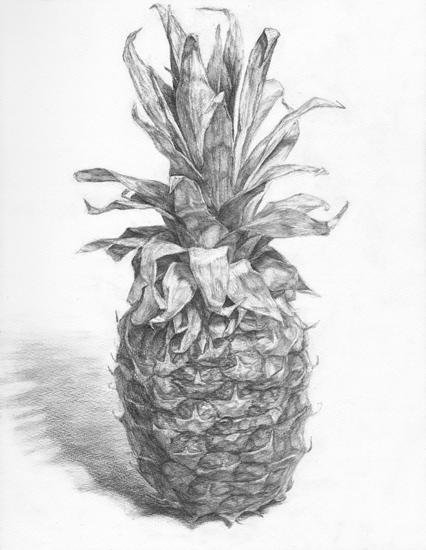 パイナップル-鉛筆デッサン描き方｜デッサン初心者のための描き方講座