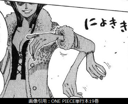 ハナハナの実の能力者情報と技の一覧 | ONE PIECE 悪魔の実の独自考察