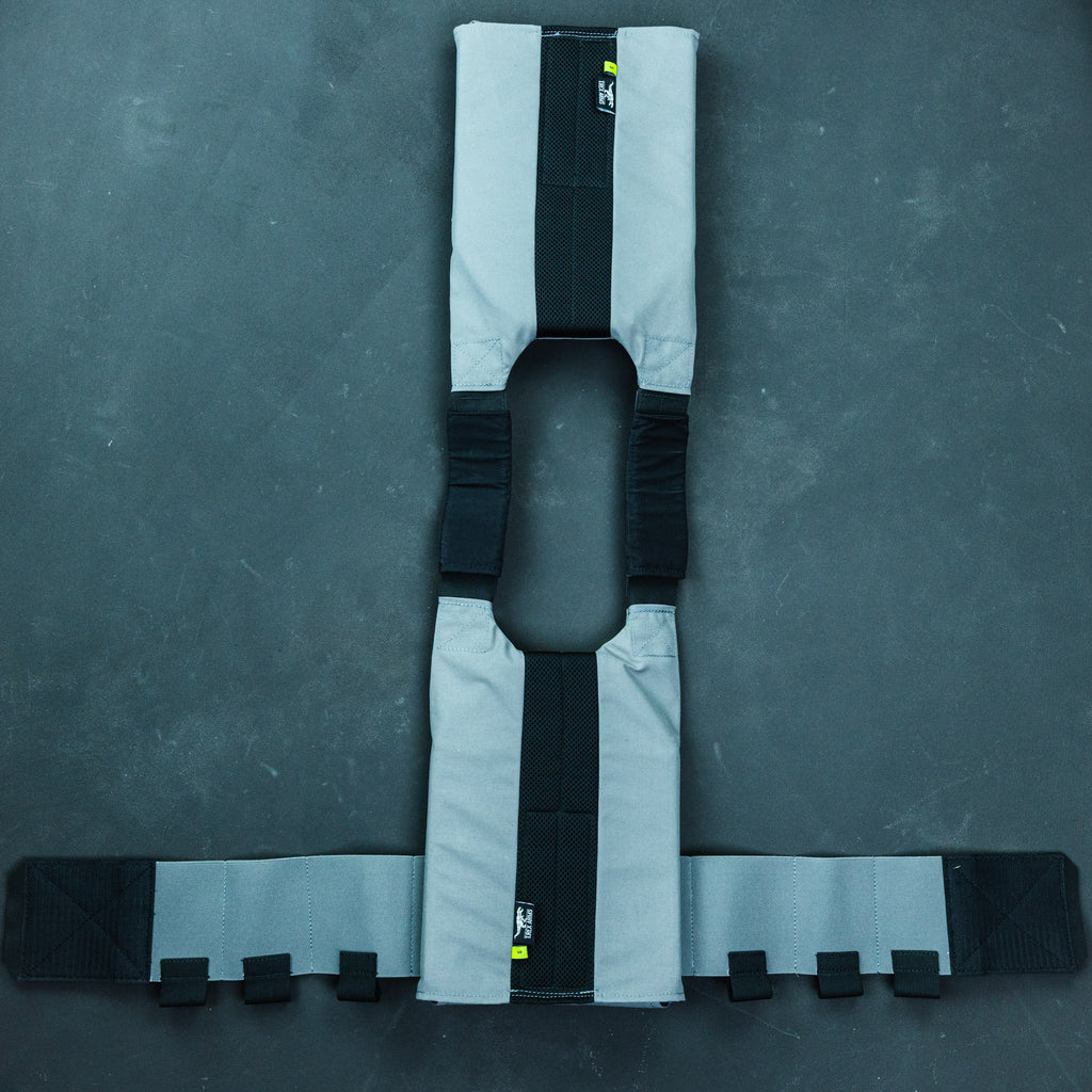 T.REX ARMS AC1 – DEVILSIX