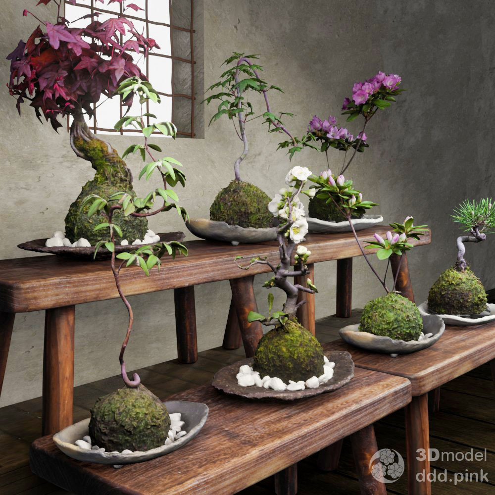 3Dモデル 苔玉皿セット [ kokeball-set ] – ddd | フォトグラメトリ