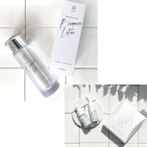 NEWS｜DDS株式会社