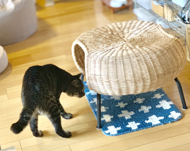 イケア発！「猫ちぐら」みたいな籐スツール「ガムレフルト」がわが家に