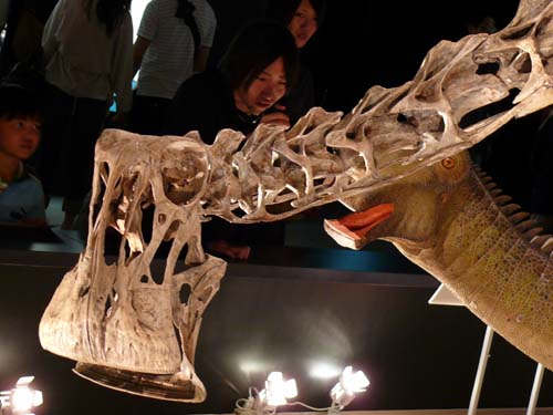 ニジェールサウルス 2011 Nigersaurus Taqueti