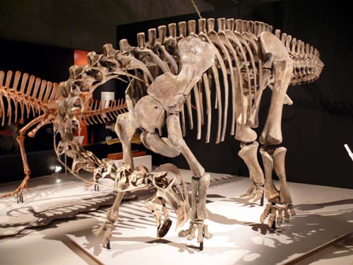 ニジェールサウルス 2011 Nigersaurus Taqueti