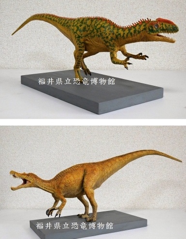 荒木一成 恐竜模型 活動情報 2003～2004